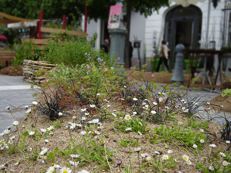 Le jardin éphémère de Fontainebleau