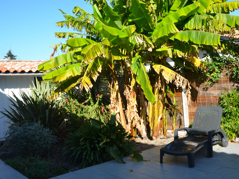 Le jardin terrasse de Gujan-Mestras