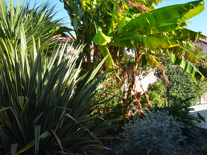 Le jardin terrasse de Gujan-Mestras