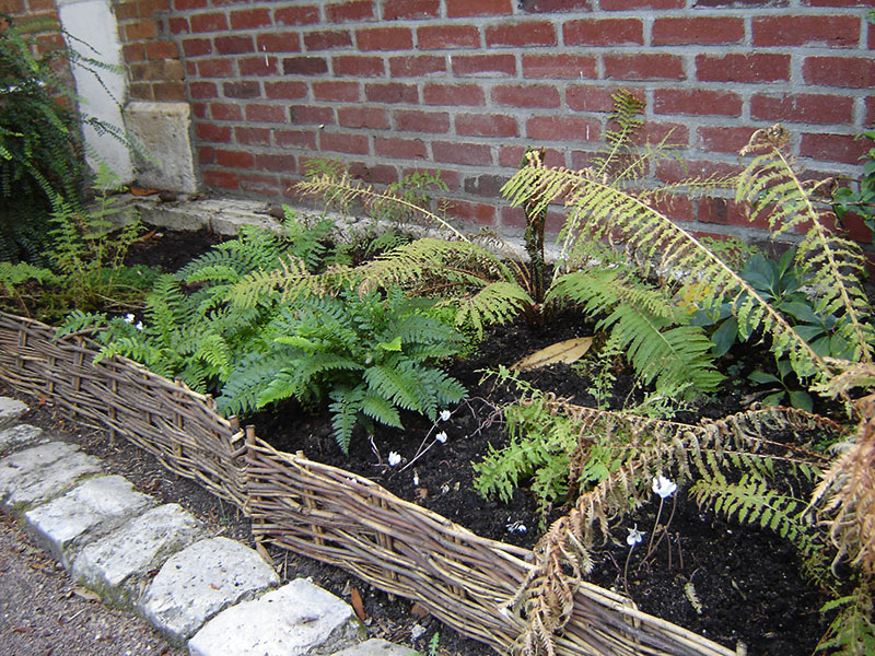 Le jardin sur cour d'Orléans