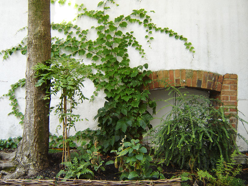 Le jardin sur cour d'Orléans