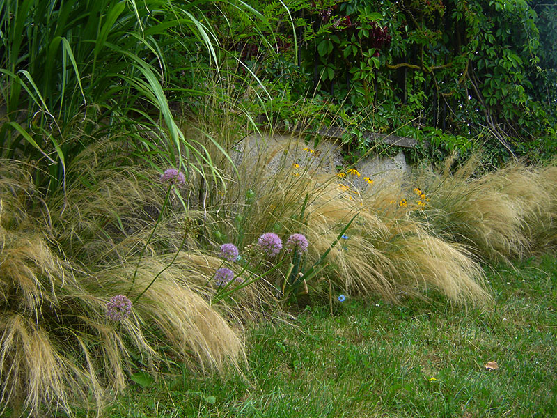 Le jardin naturel et potager de Romilly-sur-Seine
