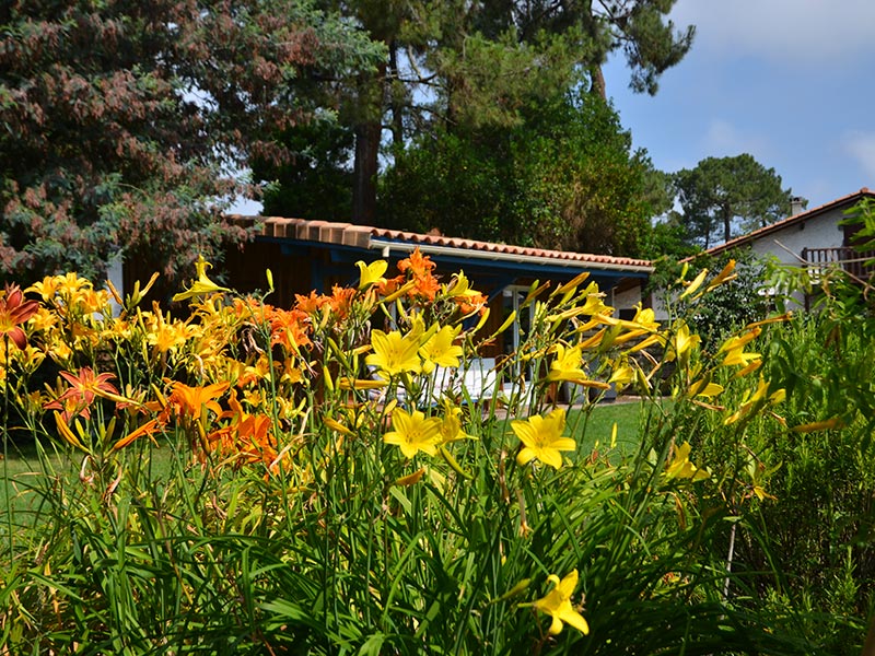 Le jardin piscine de La Teste-de-Buch