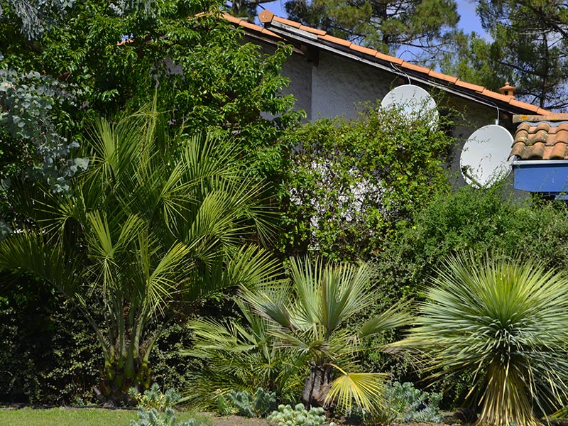 Le jardin piscine de La Teste-de-Buch